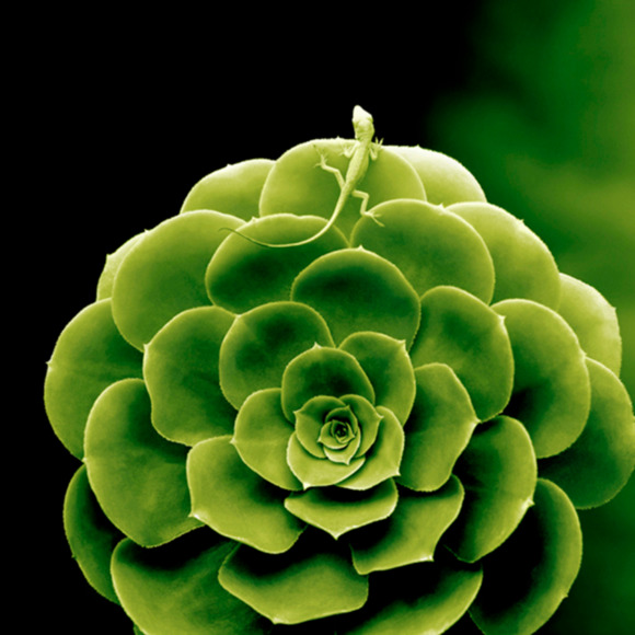 Meet your Posher, K - Picture 1 of 1